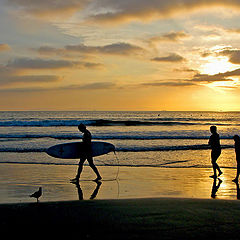 photo "Returning Home"