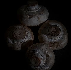фото "Low key mushrooms"