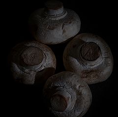 photo "Low key mushrooms"