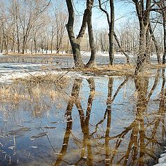 фото "наступление весны"