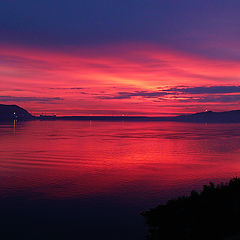 photo "rose-coloured sunset"