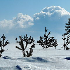 фото "Мартовский снег"