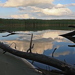 фото "На берегу"