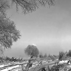 фото "Зимнее утро"