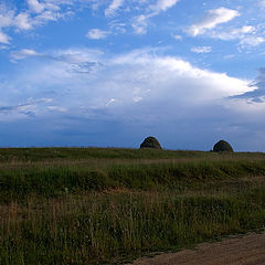 photo "Alpine meadow in August"