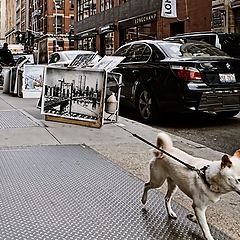 photo "Spring St, SoHo"