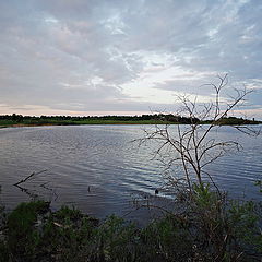 photo "***"