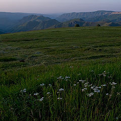 фото "Сенокос в горах"