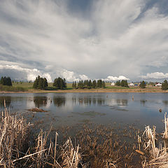 photo "***"