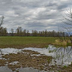 photo "весенним xмурым днём однажды ....."