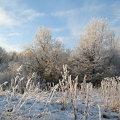 photo "Winter mood."