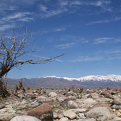 фото "Русло"