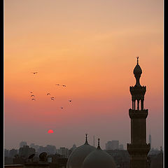 фото "Sundown in Cairo"