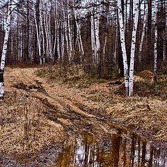 фото "Лужа"