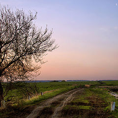 photo ".. track in the spring .."