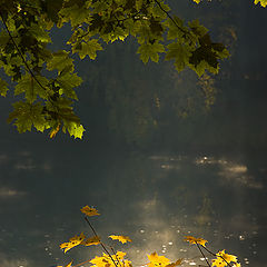 фото "Осенняя зарисовка"