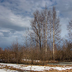 фото "Весенний денёк"