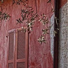 фото "Window of an old house"