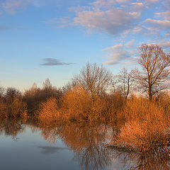 фото "Весна"