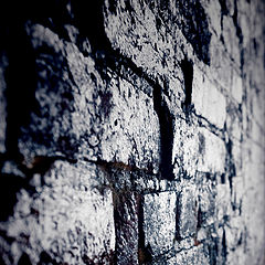 photo "The Wall"