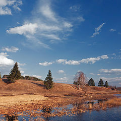 photo "***"
