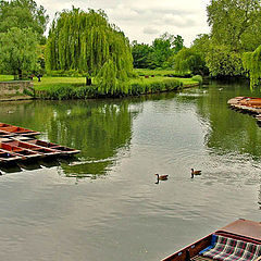 photo "Punt"