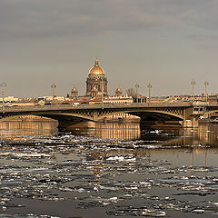 фото "осколки зимы"