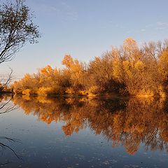 фото "Отражения осени"