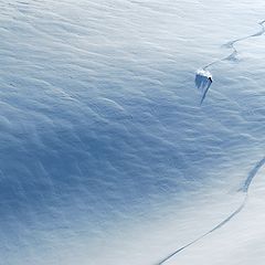 фото "Freeride"