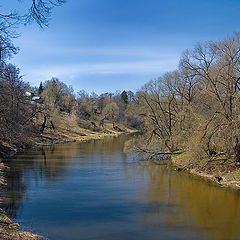 photo "Spring is coming."