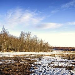 фото "После снега"