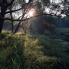 фото "Летнее утро на реке Воря"