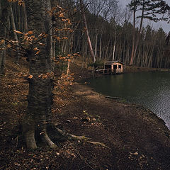 фото "На склонах  Ай-Петри-II"