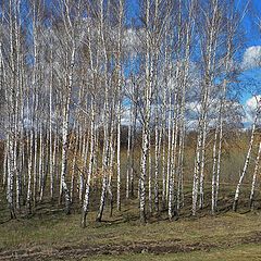 фото "Весенние зарисовки..."