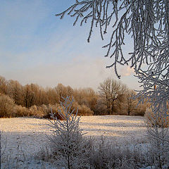 photo "Draws - frost!"