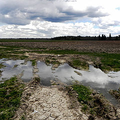 фото "Русский вид"