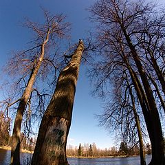 фото "давление"