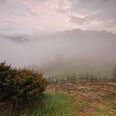 фото "After the storm"