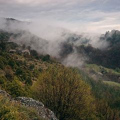 фото "After the storm 2"