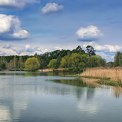 photo "spring day"