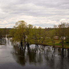 photo "***"
