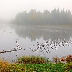 фото "Туманное утро"