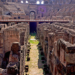 photo "Coliseum, Rome"