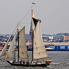 photo "New York Harbor"