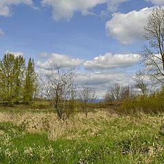 photo "весеннее небо ....."