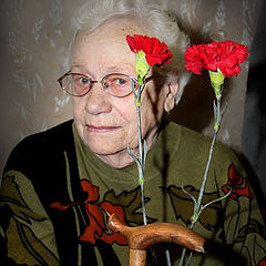 фото "Майские гвоздики"