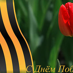 photo "Happy Victory Day!"