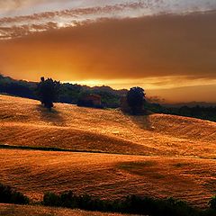 photo "The Farm"