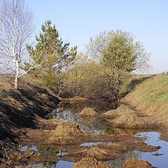 фото "Талые воды"