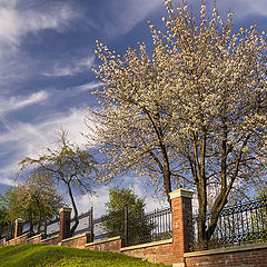 photo "Gardens in Bloom"